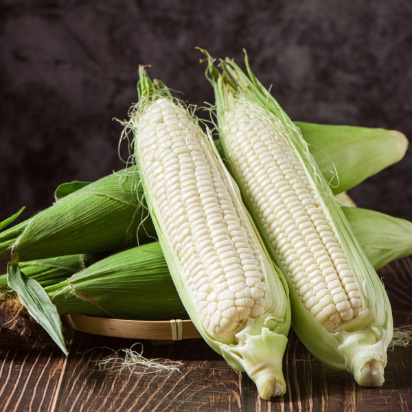 Yellow Maize