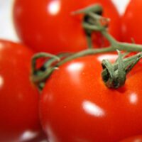 Tomatoes