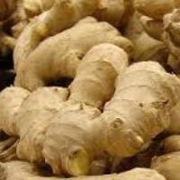 Ginger