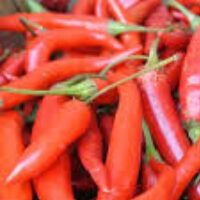 Hot pepper