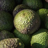 Avocado