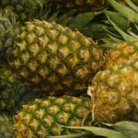 Pineapple