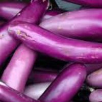 Eggplant