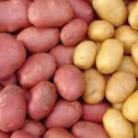 Waxy Irish potatoes