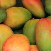 Mangoes
