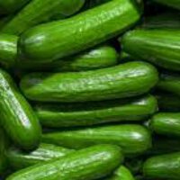 Cucumber