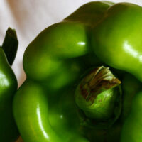 Green pepper
