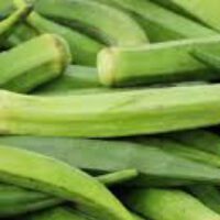 Okra