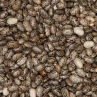 Chia