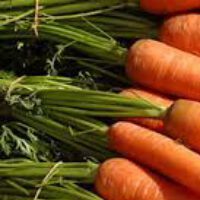 Carrots