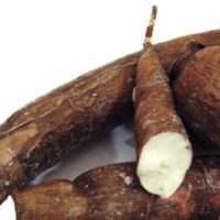 Cassava