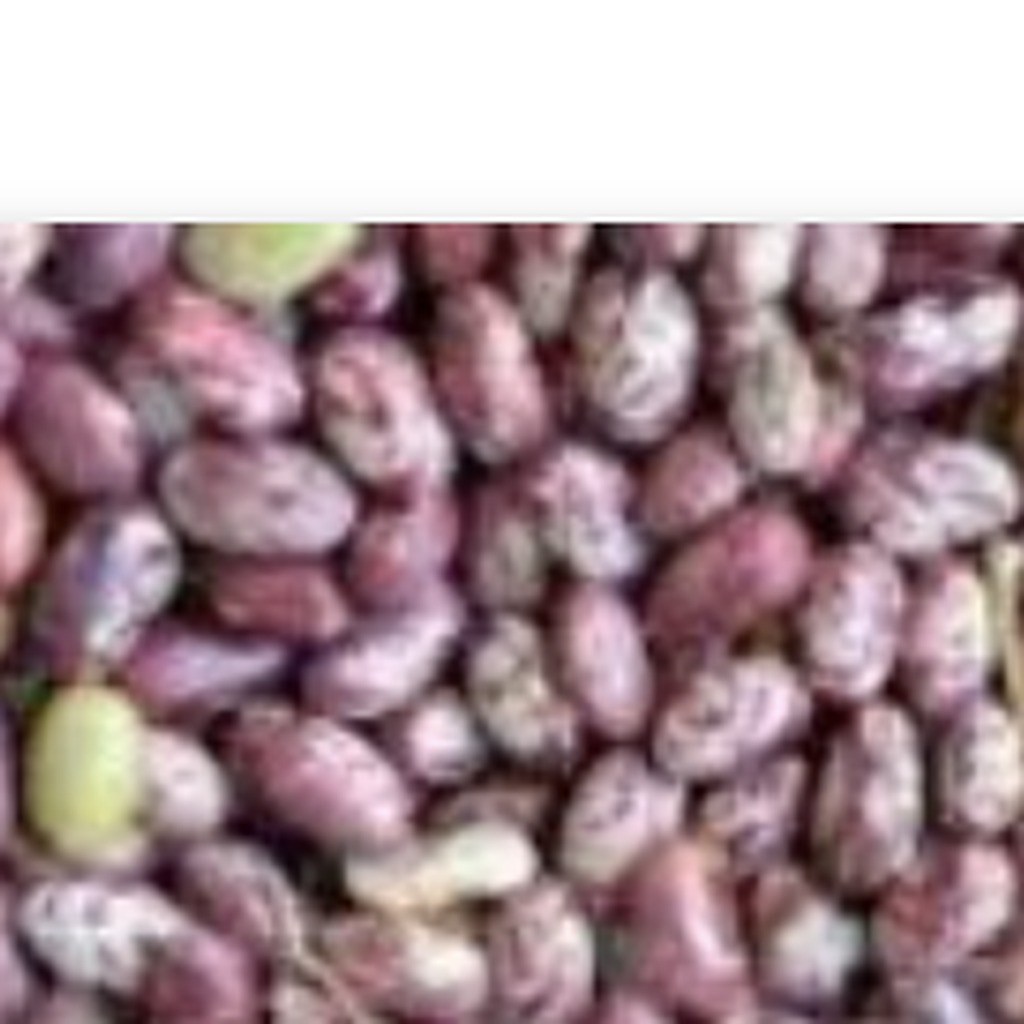 Beans