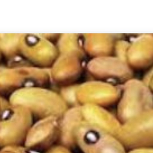 Beans (Yellow)