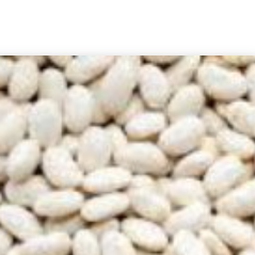 Beans (White)