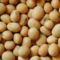 Soya