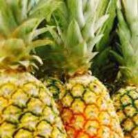 Pineapple suckers
